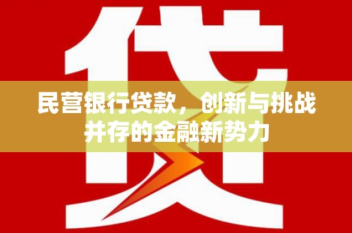 舟山新区民营银行贷款，创新与挑战并存的金融新势力