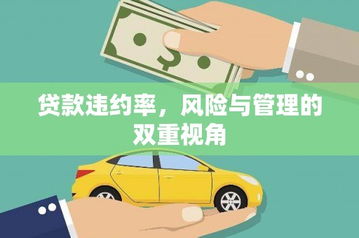惠东贷款违约率，风险与管理的双重视角