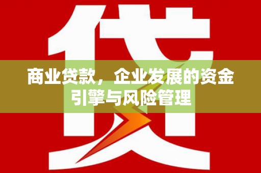 成功商业贷款，企业发展的资金引擎与风险管理