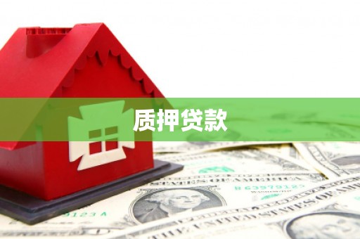 城中质押贷款