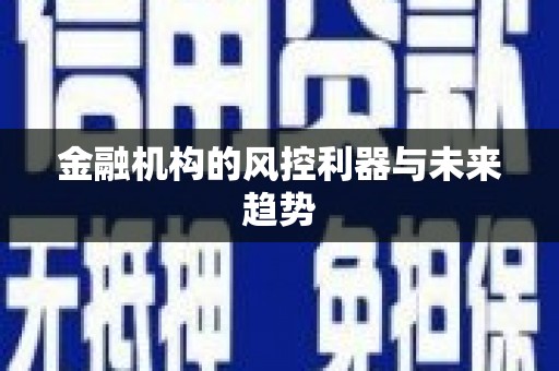 滨州金融机构的风控利器与未来趋势