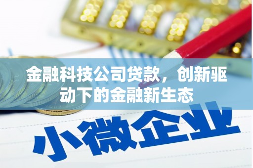 民丰金融科技公司贷款，创新驱动下的金融新生态