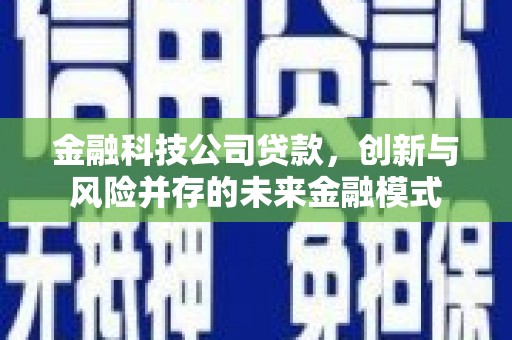 门源金融科技公司贷款，创新与风险并存的未来金融模式