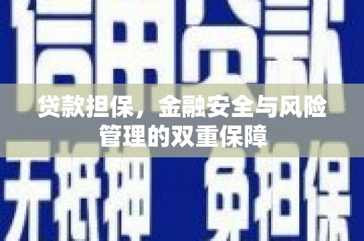 池上贷款担保，金融安全与风险管理的双重保障