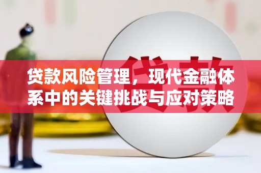 右江贷款风险管理，现代金融体系中的关键挑战与应对策略