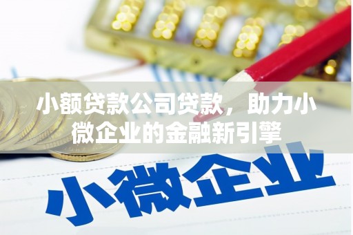 开平小额贷款公司贷款，助力小微企业的金融新引擎