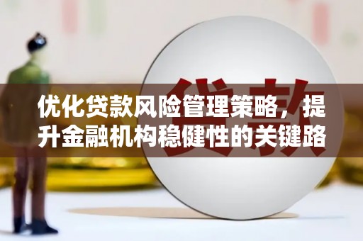 万载优化贷款风险管理策略，提升金融机构稳健性的关键路径
