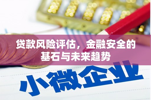 沙坪坝贷款风险评估，金融安全的基石与未来趋势