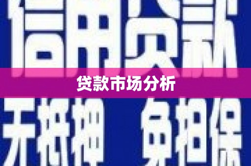 甘洛贷款市场分析