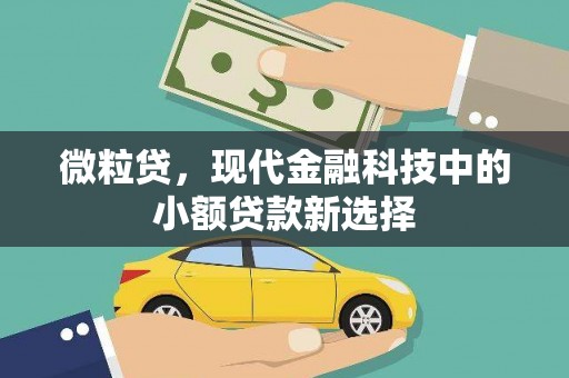 锡林浩特微粒贷，现代金融科技中的小额贷款新选择