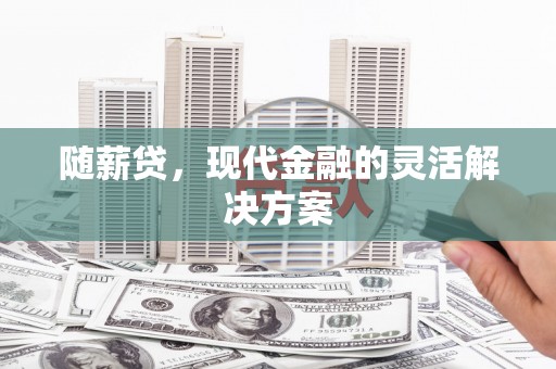 合山随薪贷，现代金融的灵活解决方案
