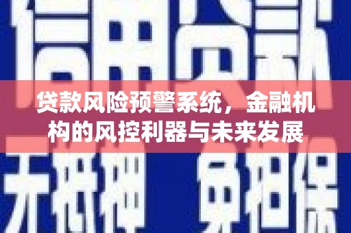 滨州贷款风险预警系统，金融机构的风控利器与未来发展