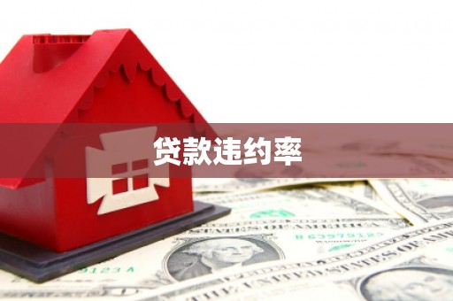 紫金贷款违约率