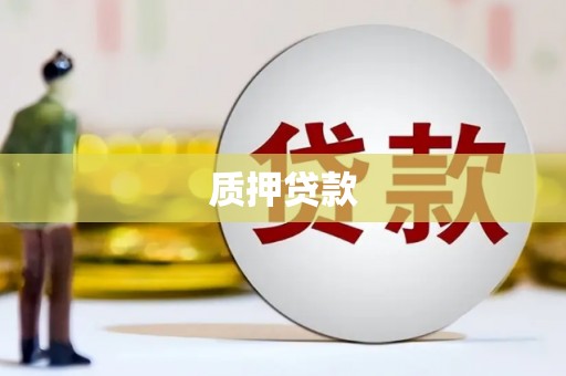 项城质押贷款
