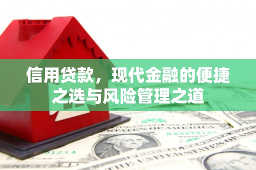 顺庆信用贷款，现代金融的便捷之选与风险管理之道