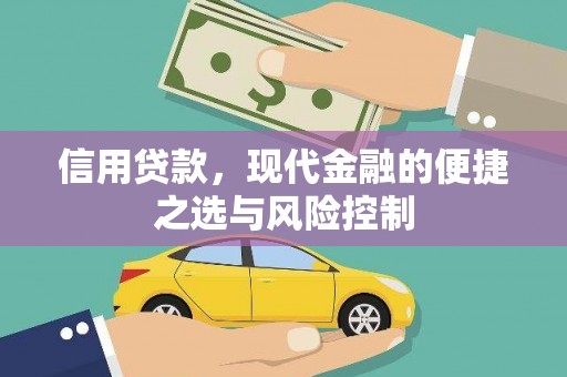 巨野信用贷款，现代金融的便捷之选与风险控制
