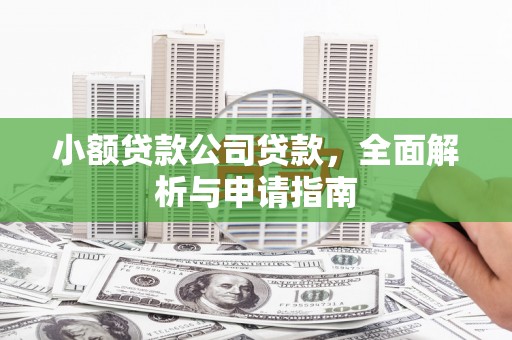 线西小额贷款公司贷款，全面解析与申请指南