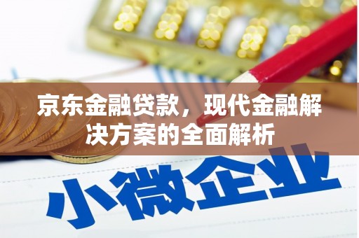 芦淞京东金融贷款，现代金融解决方案的全面解析