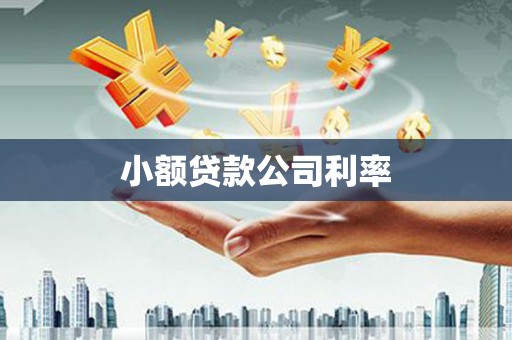 四子王旗小额贷款公司利率