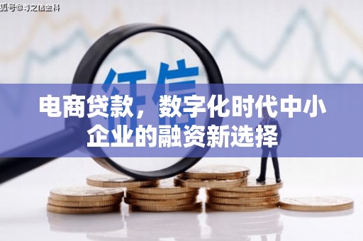 瑞芳电商贷款，数字化时代中小企业的融资新选择