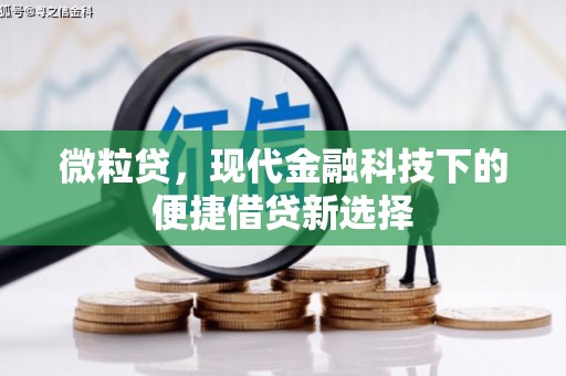 华阴微粒贷，现代金融科技下的便捷借贷新选择