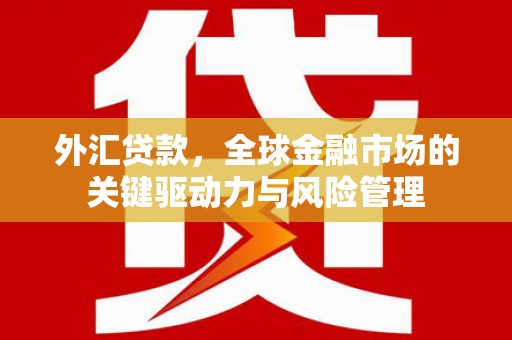天水外汇贷款，全球金融市场的关键驱动力与风险管理