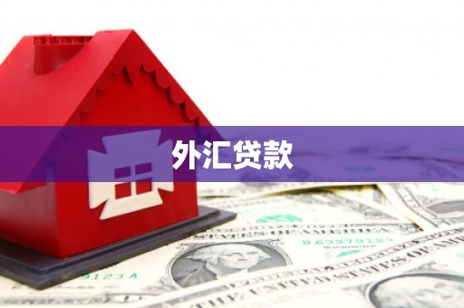 自流井外汇贷款