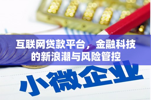 洪雅互联网贷款平台，金融科技的新浪潮与风险管控