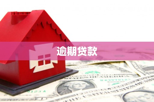 永寿逾期贷款