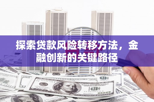 宁夏探索贷款风险转移方法，金融创新的关键路径