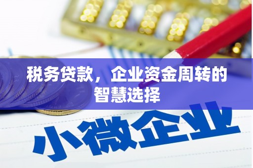 西昌税务贷款，企业资金周转的智慧选择