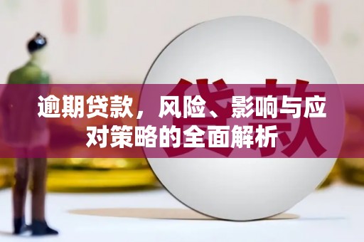 阆中逾期贷款，风险、影响与应对策略的全面解析