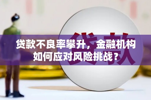龙湾贷款不良率攀升，金融机构如何应对风险挑战？