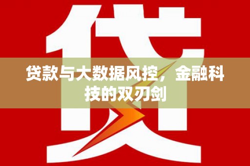 平阴贷款与大数据风控，金融科技的双刃剑