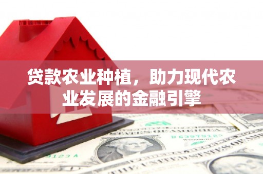 宁陵贷款农业种植，助力现代农业发展的金融引擎