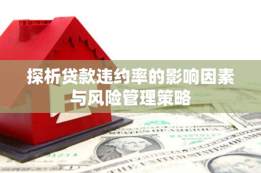云和探析贷款违约率的影响因素与风险管理策略