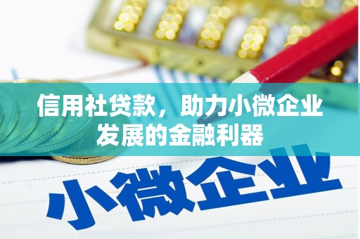 杨浦信用社贷款，助力小微企业发展的金融利器