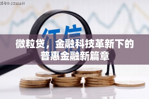 狮子微粒贷，金融科技革新下的普惠金融新篇章