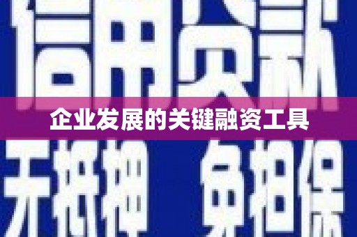 九龙城企业发展的关键融资工具