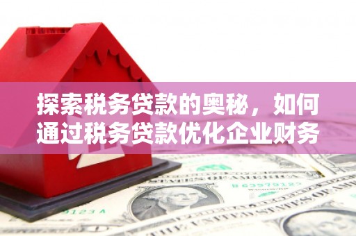 营口探索税务贷款的奥秘，如何通过税务贷款优化企业财务