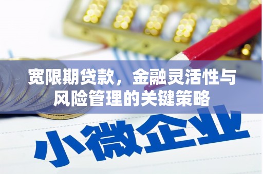 翔安宽限期贷款，金融灵活性与风险管理的关键策略