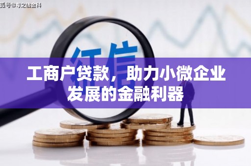 香港岛工商户贷款，助力小微企业发展的金融利器