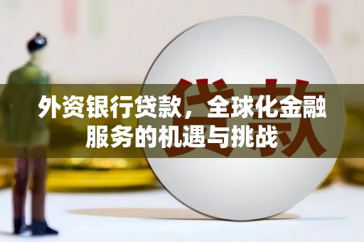 凤泉外资银行贷款，全球化金融服务的机遇与挑战
