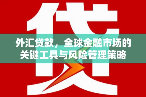 任丘外汇贷款，全球金融市场的关键工具与风险管理策略