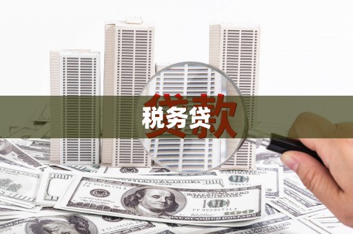 广平税务贷