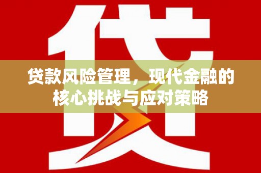 瀍河贷款风险管理，现代金融的核心挑战与应对策略
