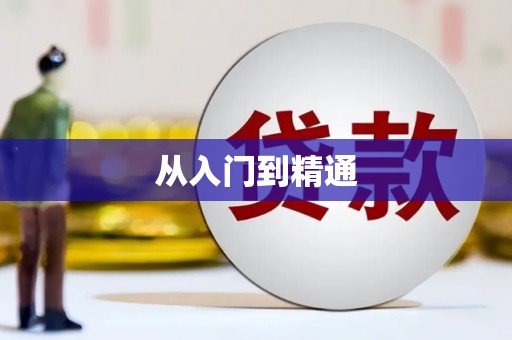 理县从入门到精通
