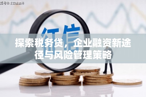 清徐探索税务贷，企业融资新途径与风险管理策略