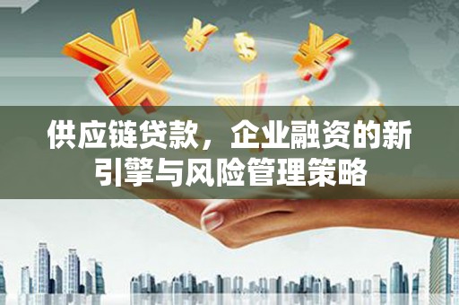 中堂供应链贷款，企业融资的新引擎与风险管理策略