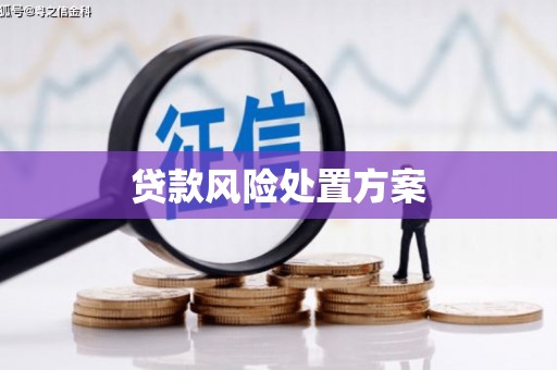 雨山贷款风险处置方案